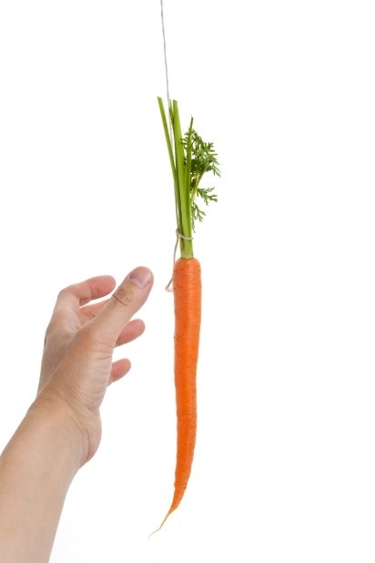 carrot dangling out of reach of hand