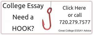 college essay challenging a belief examples