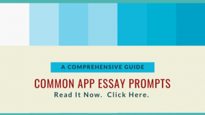 common app essay prompts a comprehensive guide
