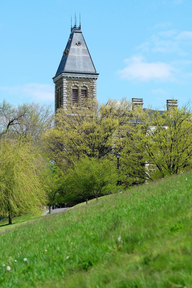 university building in the back of tress