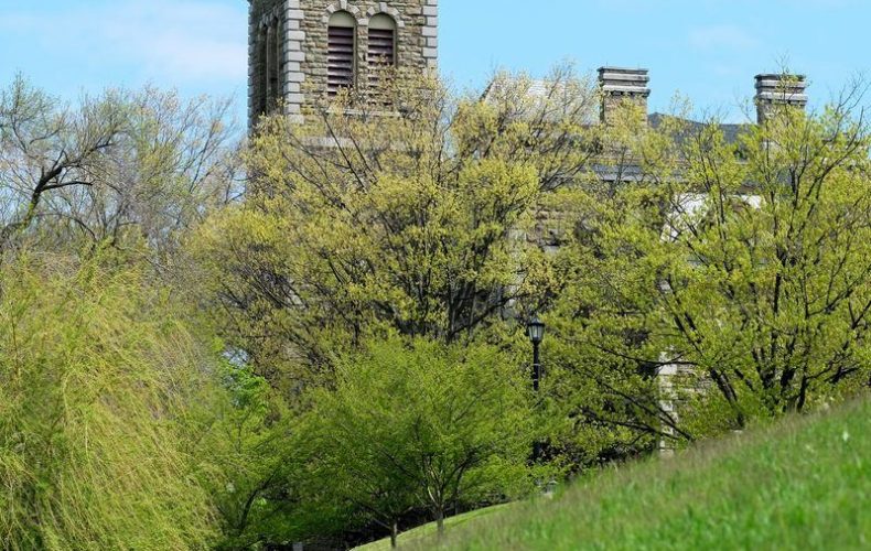 university building in the back of tress