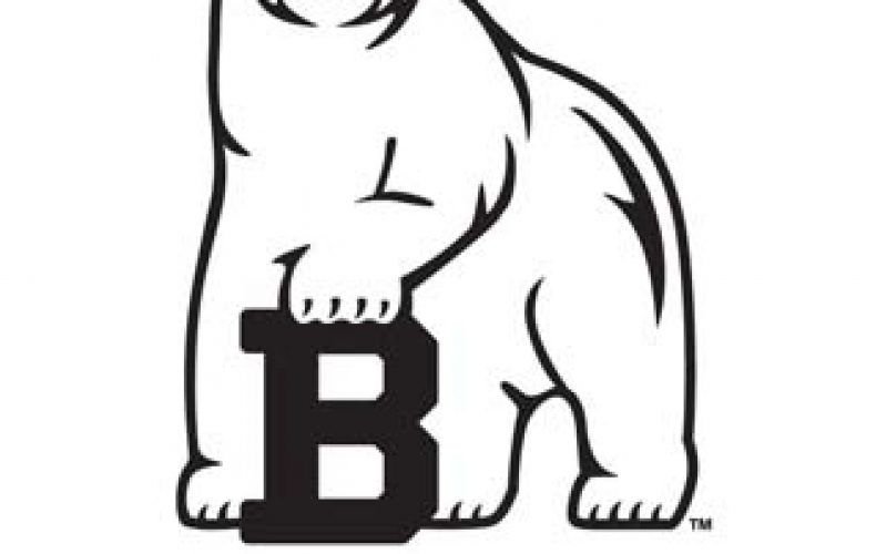 Bowdoin College Bear