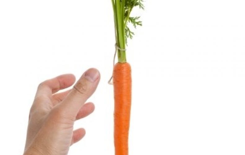 carrot dangling out of reach of hand